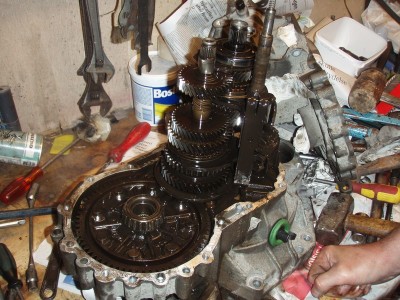 P8250005.jpg